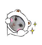 べる君の日常スタンプ（個別スタンプ：10）