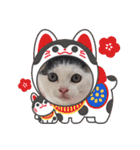 べる君の日常スタンプ（個別スタンプ：12）