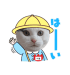 べる君の日常スタンプ（個別スタンプ：14）