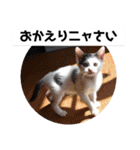 べる君の日常スタンプ（個別スタンプ：20）