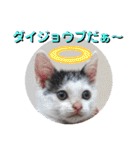 べる君の日常スタンプ（個別スタンプ：22）