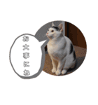 べる君の日常スタンプ（個別スタンプ：24）