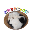 べる君の日常スタンプ（個別スタンプ：37）