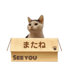 べる君の日常スタンプ（個別スタンプ：40）