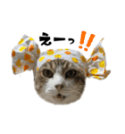 猫のはなまるスタンプ（個別スタンプ：14）