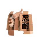 のんつスタンプ（個別スタンプ：8）