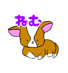 愛犬イラスト（個別スタンプ：13）