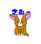 愛犬イラスト（個別スタンプ：14）