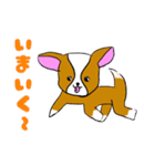 愛犬イラスト（個別スタンプ：16）