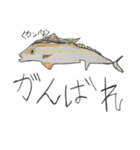 海の動物マスターズ（個別スタンプ：7）