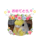 ∞セキセイインコの家族（個別スタンプ：18）