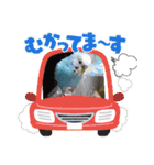 ∞セキセイインコの家族（個別スタンプ：20）