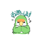 ふわふわのコザクラインコちゃんスタンプ（個別スタンプ：3）