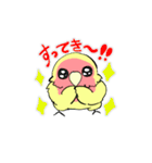 ふわふわのコザクラインコちゃんスタンプ（個別スタンプ：11）