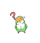 ふわふわのコザクラインコちゃんスタンプ（個別スタンプ：12）