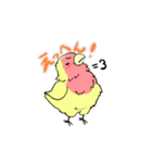 ふわふわのコザクラインコちゃんスタンプ（個別スタンプ：17）