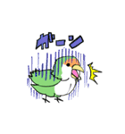 ふわふわのコザクラインコちゃんスタンプ（個別スタンプ：19）