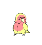 ふわふわのコザクラインコちゃんスタンプ（個別スタンプ：23）