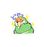 ふわふわのコザクラインコちゃんスタンプ（個別スタンプ：25）