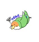 ふわふわのコザクラインコちゃんスタンプ（個別スタンプ：34）