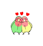 ふわふわのコザクラインコちゃんスタンプ（個別スタンプ：37）
