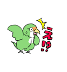 ふわふわのコザクラインコちゃんスタンプ（個別スタンプ：40）