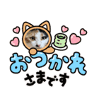 うちの子.02（個別スタンプ：3）
