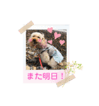うちの子.02（個別スタンプ：7）