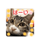 うちの子.02（個別スタンプ：9）