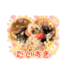 うちの子.02（個別スタンプ：17）