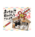 うちの子.02（個別スタンプ：20）