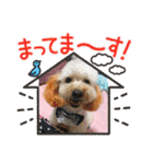 うちの子.02（個別スタンプ：21）
