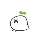 ひよこのひよーこ その1（個別スタンプ：3）