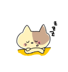 あのねこにゃんこ（個別スタンプ：7）