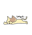 あのねこにゃんこ（個別スタンプ：29）
