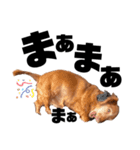 らぶぞぅz（個別スタンプ：3）