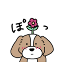 マルプーのエル（個別スタンプ：12）