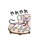 猫のスフィンクススタンプ（個別スタンプ：27）