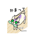 猫のスフィンクススタンプ（個別スタンプ：31）