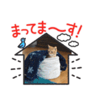 ネコチャコ（個別スタンプ：24）