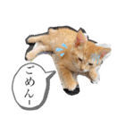 ネコチャコ（個別スタンプ：28）