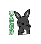 黒いウサギさん（個別スタンプ：5）