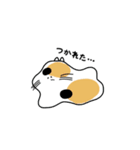 へんてこねこの日常（個別スタンプ：11）