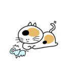 へんてこねこの日常（個別スタンプ：13）