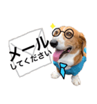 バセコギのケリーくん(お仕事と推しごと編)（個別スタンプ：7）