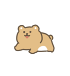 動くクマのスタンプ（個別スタンプ：21）