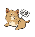 犬と猫と世界平和（個別スタンプ：4）