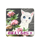 にゃん！とも可愛く便利8毎日使える花や猫（個別スタンプ：8）