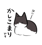 ねこ...w2.5（個別スタンプ：7）