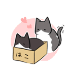 ねこ...w2.5（個別スタンプ：18）